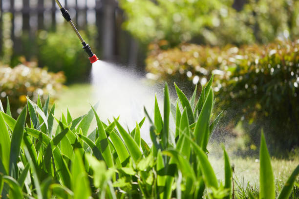 24/7 Emergency Fumigation Services experts in Mount Vernon, KY
