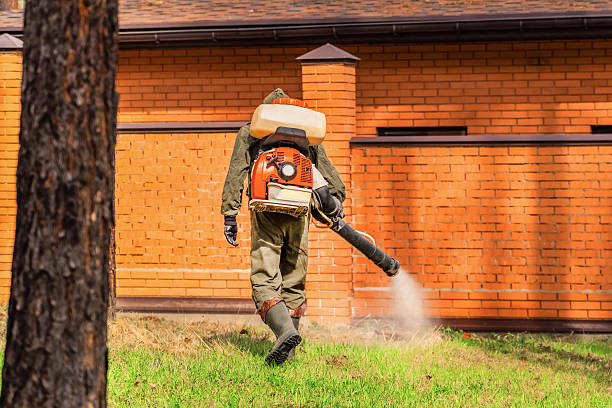 Trusted Bed Bug Control service in Mount Vernon, KY - Nex Pest Control